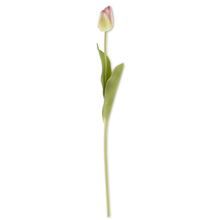 26.75 Inch Silk w/Real Touch Single Tulip Stem
