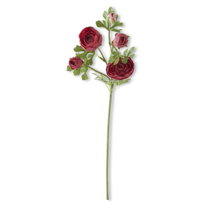 24.5 Inch Real Touch 5 Head Ranunculus Stem