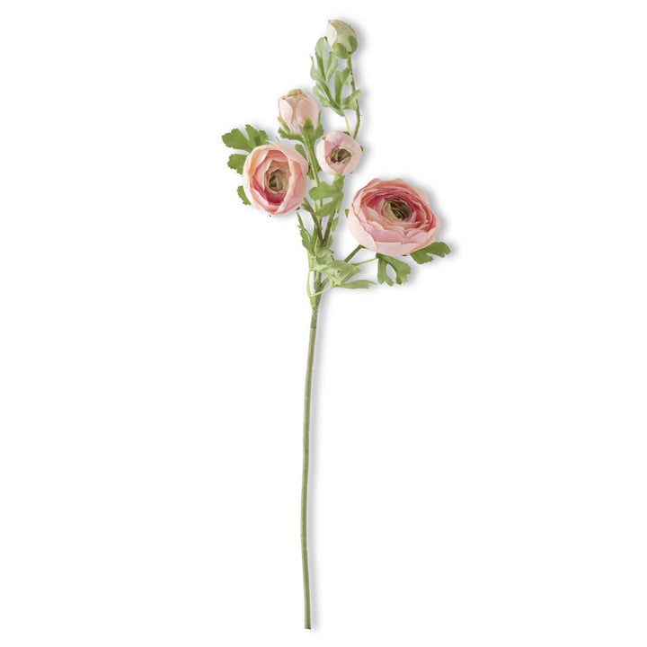 24.5 Inch Real Touch 5 Head Ranunculus Stem