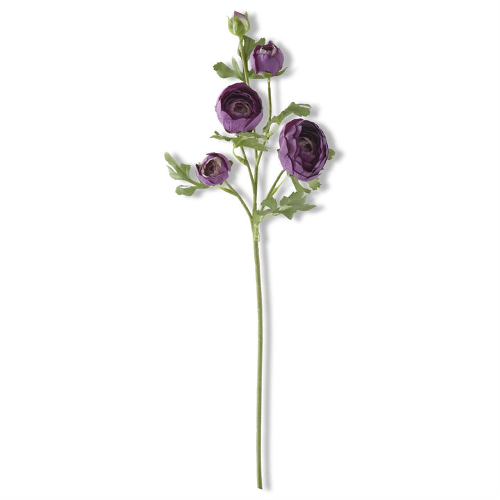 24.5 Inch Real Touch 5 Head Ranunculus Stem