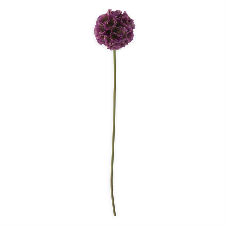 22 Inch Scabiosa Pod Stem