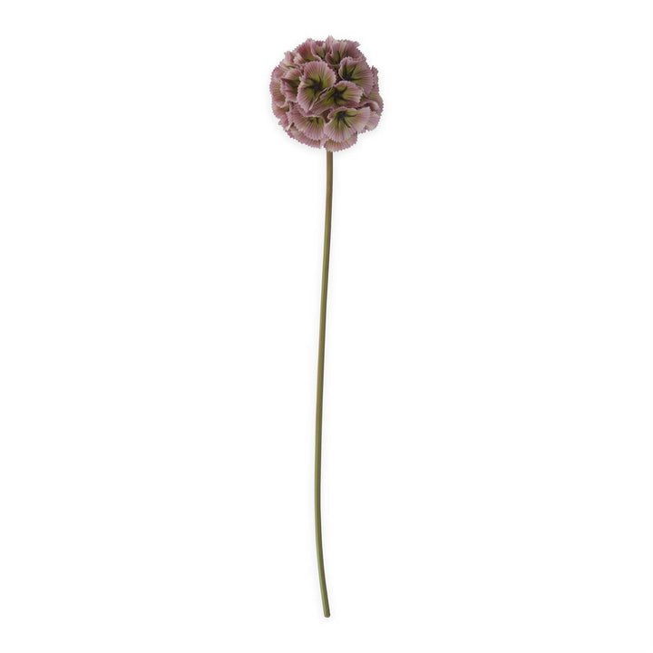 22 Inch Scabiosa Pod Stem