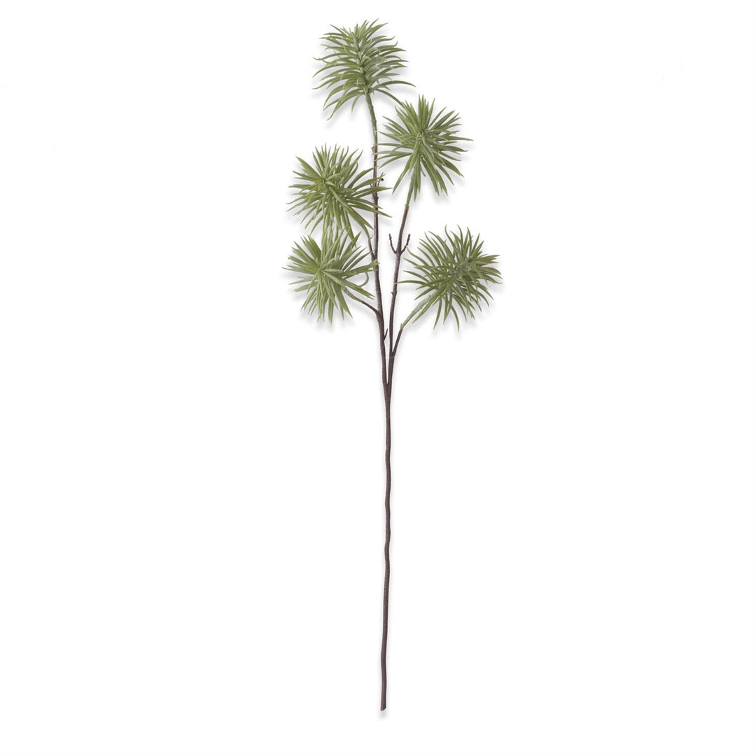 26 Inch Senecio Succulent Spray