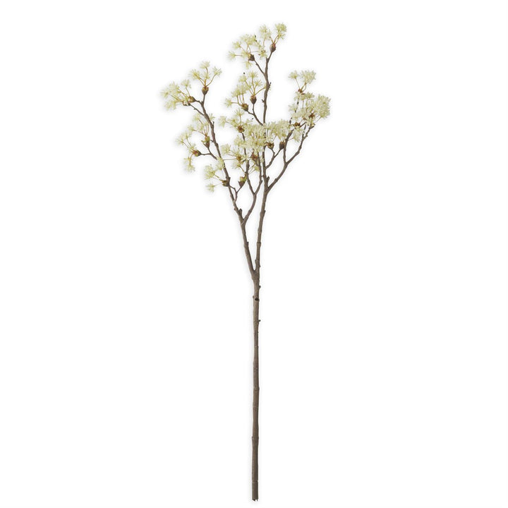 35 Inch Queen Anne Lace Branch