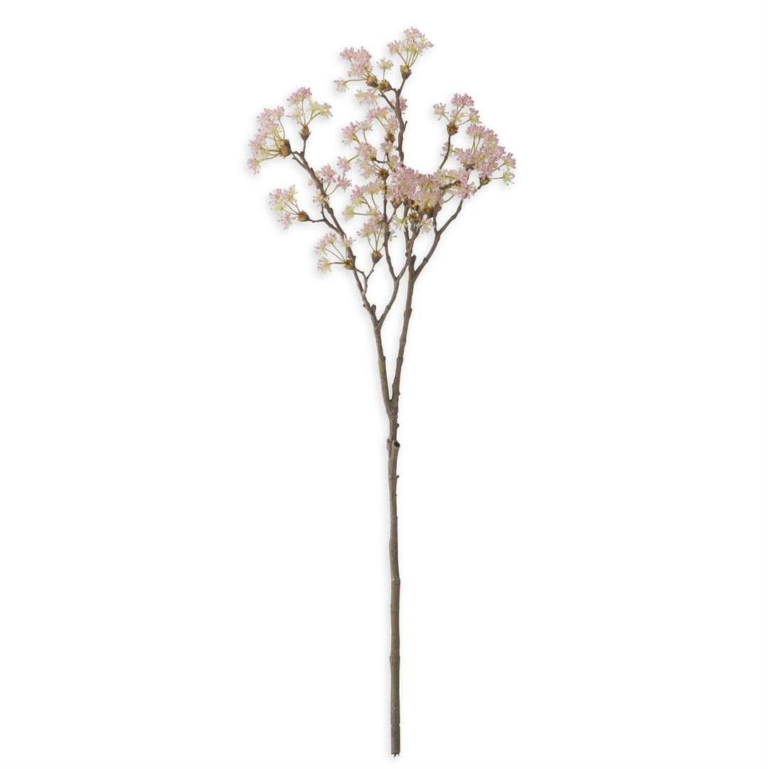 35 Inch Queen Anne Lace Branch