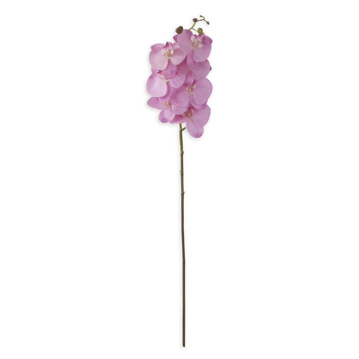 34.5 Inch Orchid Stem