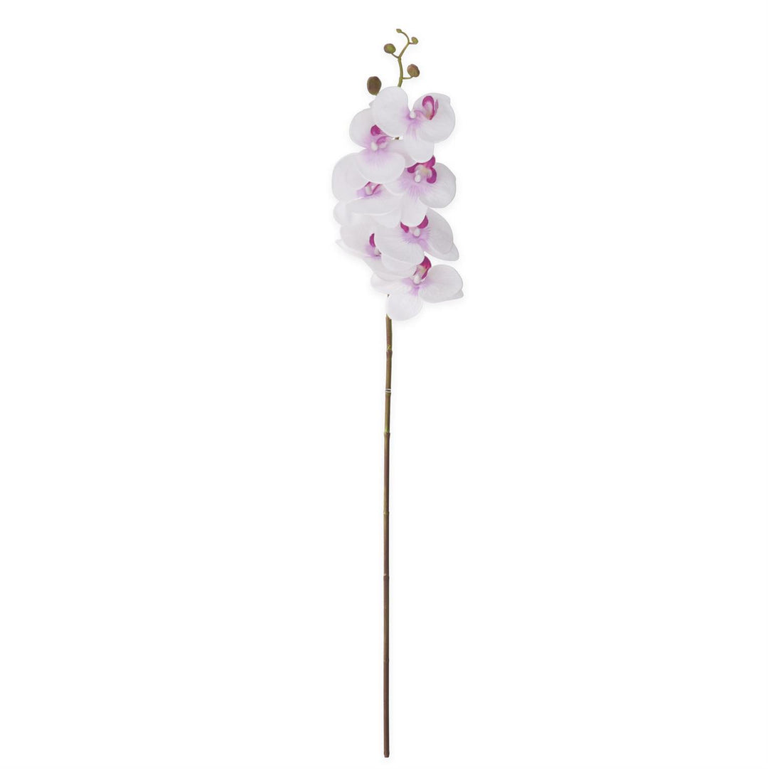 34.5 Inch Orchid Stem