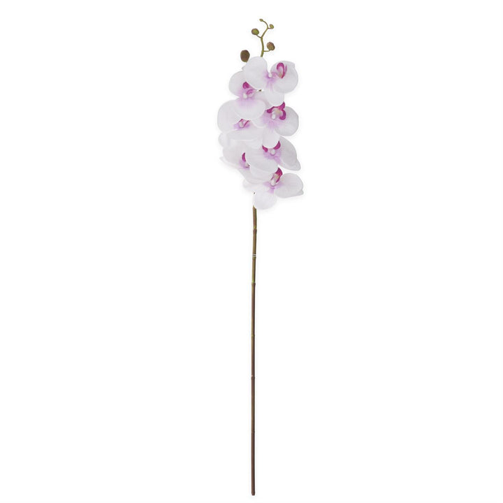 34.5 Inch Orchid Stem