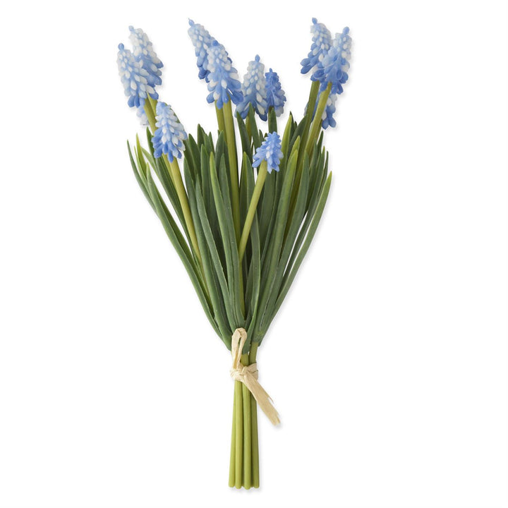 10.5 Inch Grape Hyacinth Bundle (6 Stem)