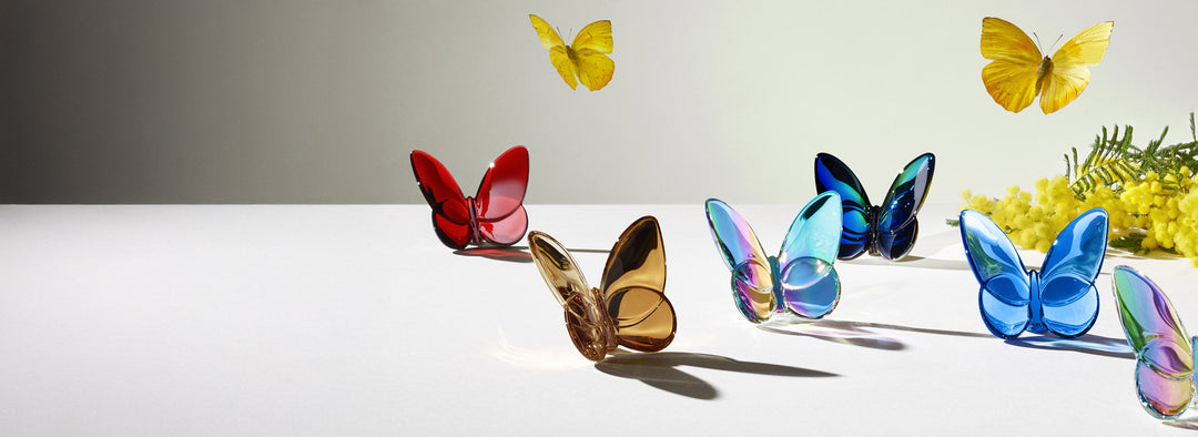 Lucky Butterfly