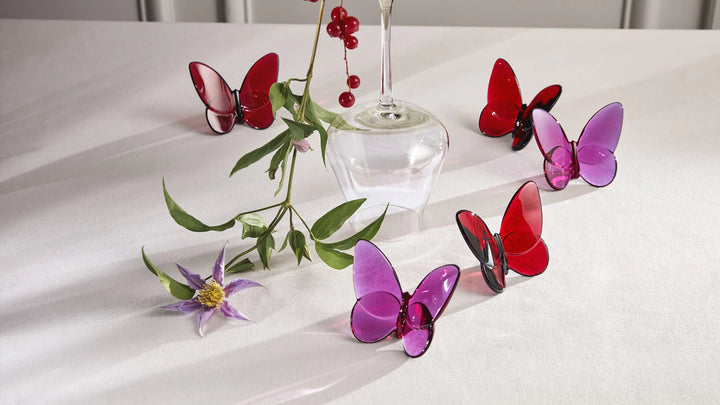 Lucky Butterfly