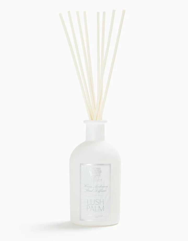 250ml Lush Palm Reed Diffuser