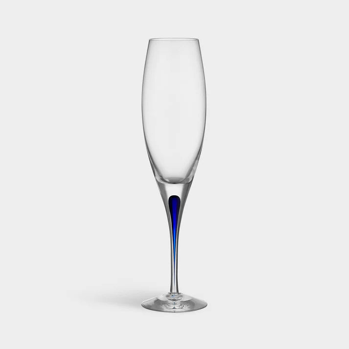 Intermezzo Blue Champagne Glass