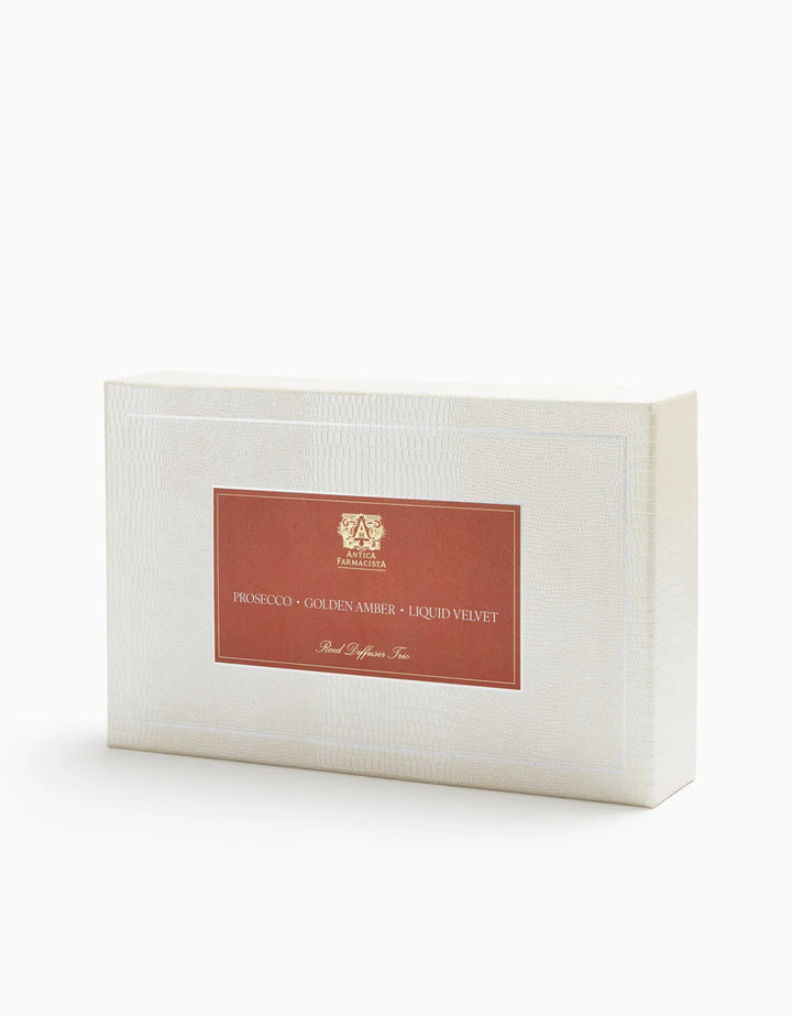 2026 Fall Diffuser Trio- 100ml