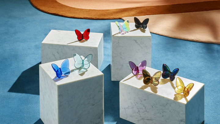 Lucky Butterfly