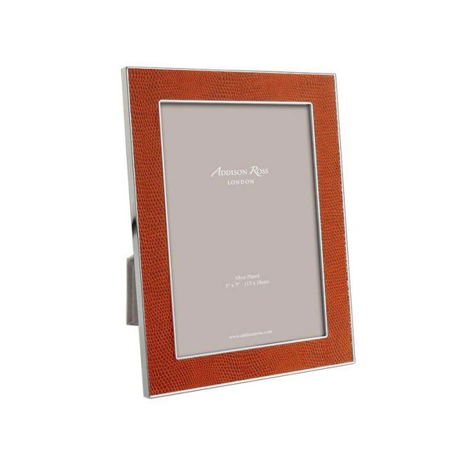 Snake & Silver Frame