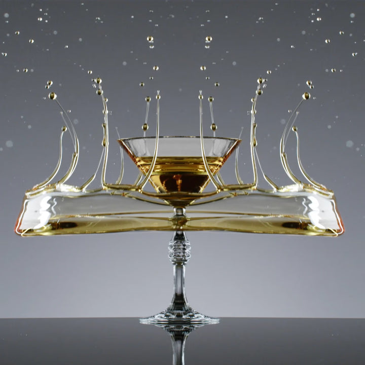 Passion Collection by Jean-Charles Boisset Martini Glasses set of 2
