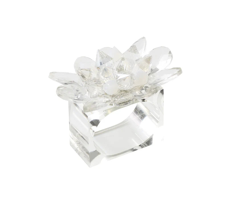 Spectra Napkin Rings, Set of 4 in a Gift Box