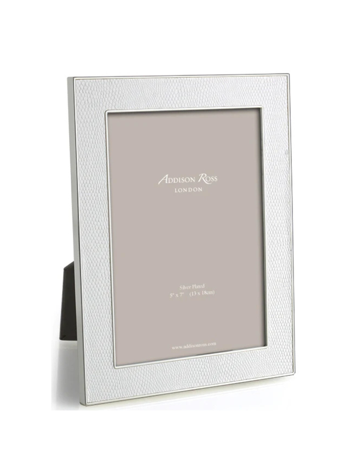 Snake & Silver Frame