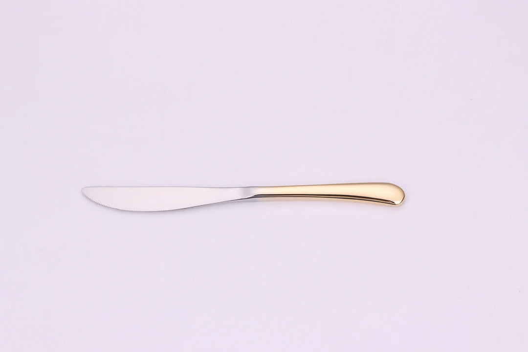 Colorblock 20 Pc Flatware Set with Graduated Gold Handles, Service for 4