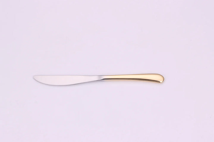 Colorblock 20 Pc Flatware Set with Graduated Gold Handles, Service for 4