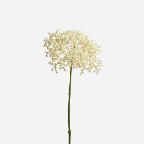Midnight Bloom Smoked Crystal Reed Diffuser