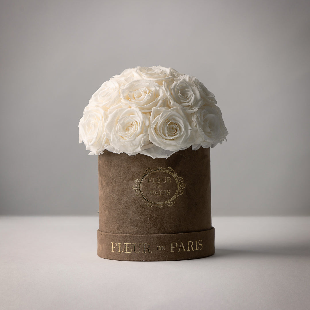 Everlasting Roses Dome