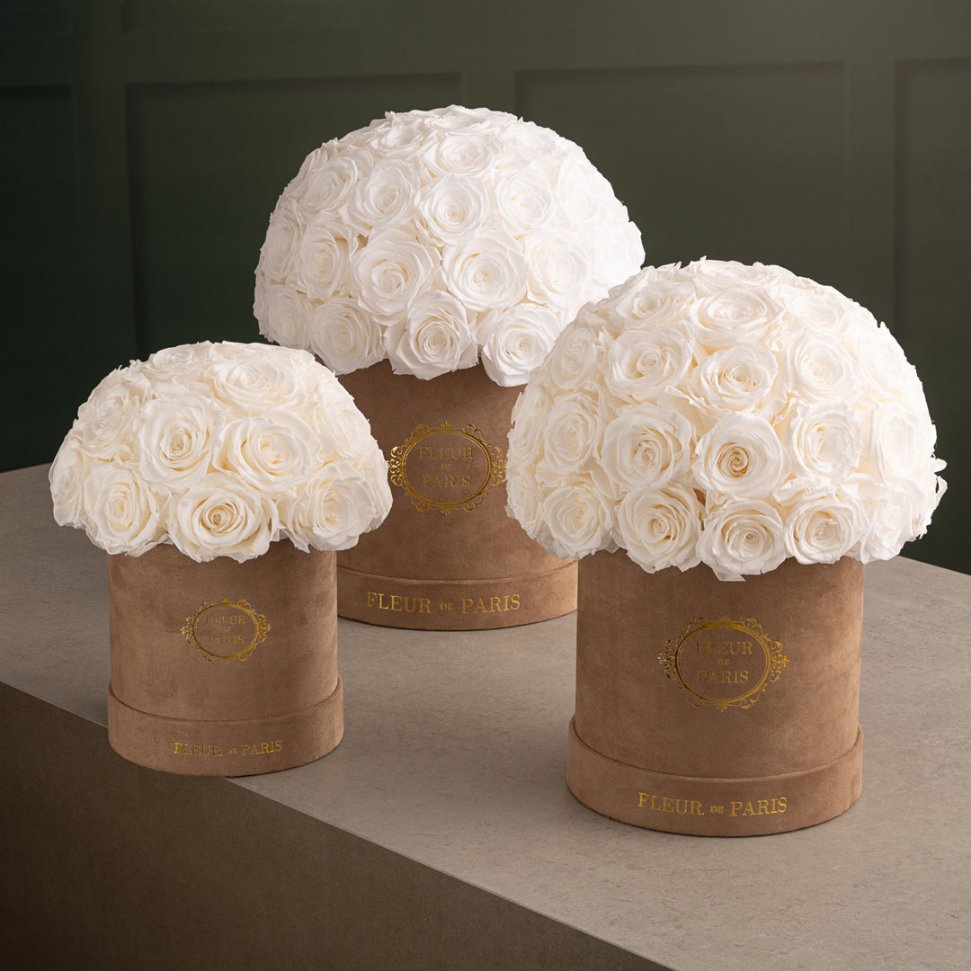 Everlasting Roses Dome