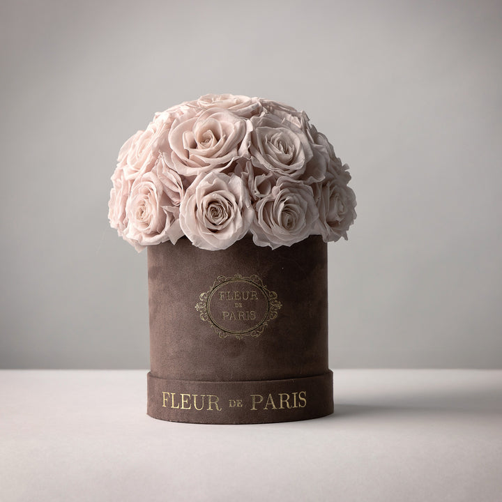 Everlasting Roses Dome