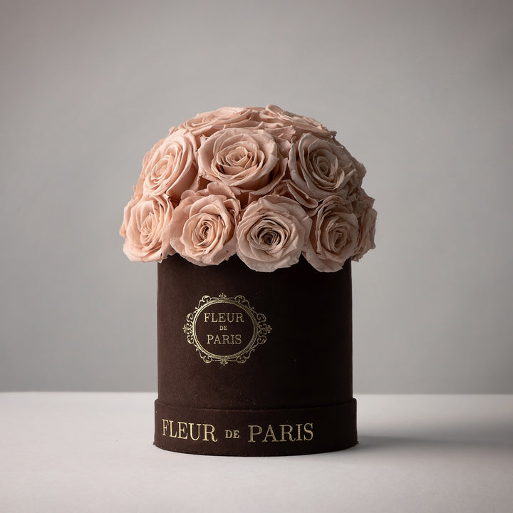 Everlasting Roses Dome
