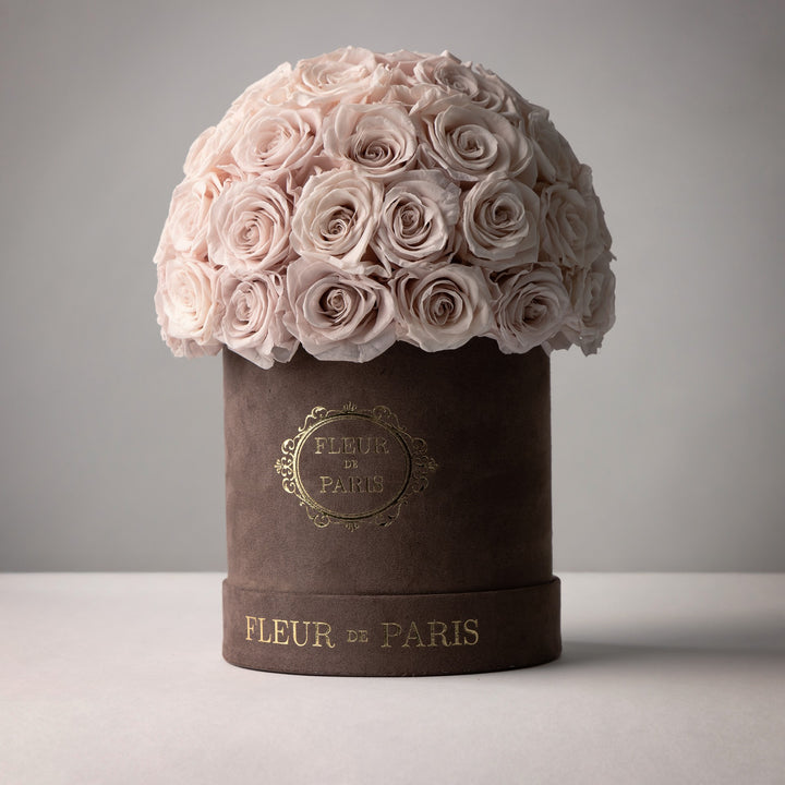 Everlasting Roses Dome